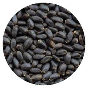 Basil Seed (Sabja Seed)